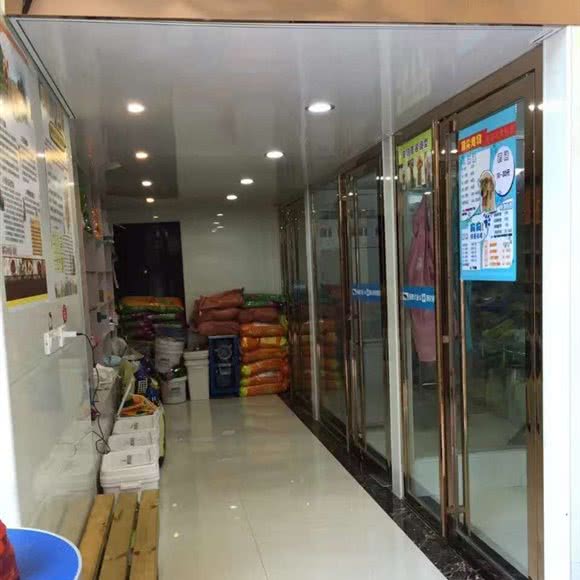 杨鹏宠物医院(小十字店):铜仁市碧江区