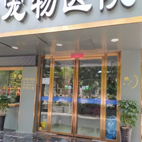 杨鹏宠物医院(东太大道店):铜仁市碧江区