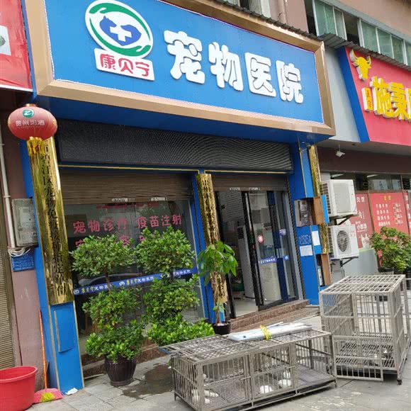 泰贝宁宠物医院:铜仁市碧江区