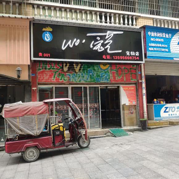 WO·宠艺宠物店:铜仁市玉屏侗族自治县
