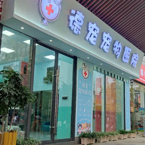 德宠宠物医院:铜仁市德江县