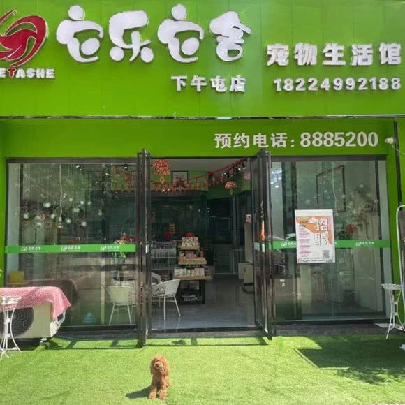 它乐它舍宠物生活馆(下五屯店):黔西南布依族苗族自治州兴义市