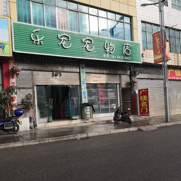 乐宠宠物店:黔西南布依族苗族自治州兴义市