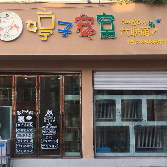 婷子宠窝宠物店:黔西南布依族苗族自治州兴义市