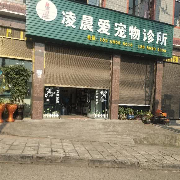 凌晨爱宠物诊所:黔西南布依族苗族自治州兴义市
