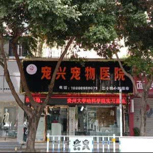 宠兴宠物医院:黔西南布依族苗族自治州兴义市