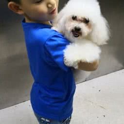 多可爱宠物生活馆:黔东南苗族侗族自治州凯里市