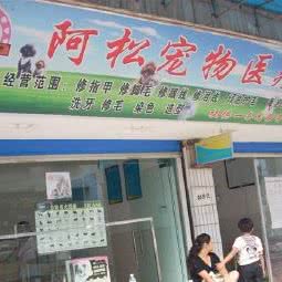 阿松宠物:黔东南苗族侗族自治州凯里市