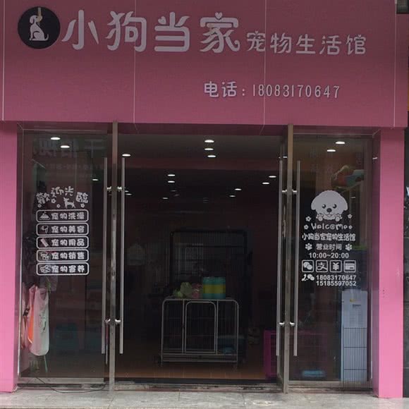 小狗当家宠物生活馆:黔东南苗族侗族自治州凯里市