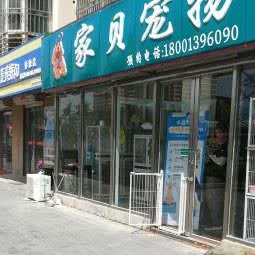 家贝狗狗:北京城区朝阳区定福庄附近
