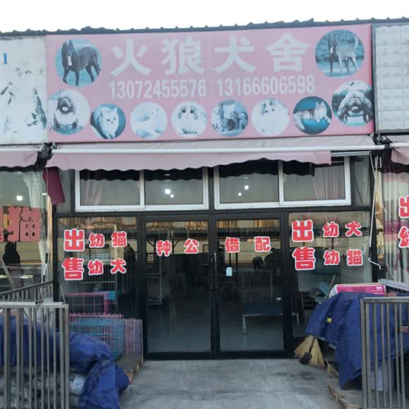 火狼犬舍:沈阳市铁西区重工街沿线附近