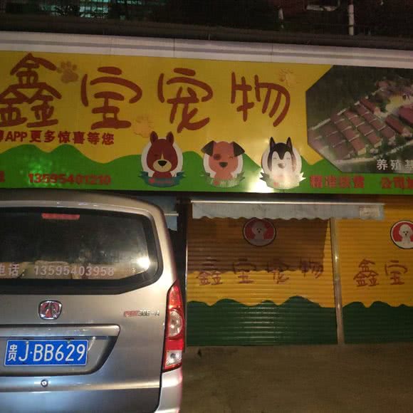 鑫宝宠物:黔南布依族苗族自治州都匀市