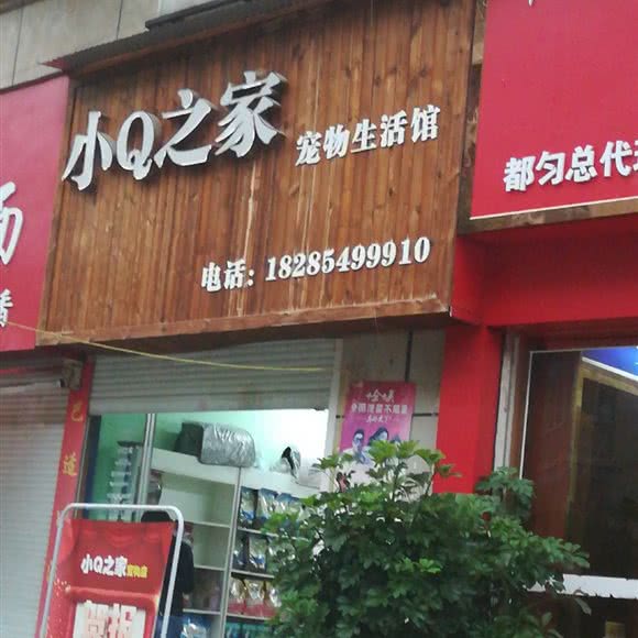 小Q之家宠物生活馆:黔南布依族苗族自治州都匀市