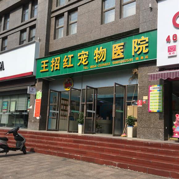 王招红宠物医院(福泉店):黔南布依族苗族自治州福泉市