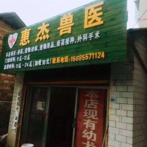 惠杰兽医:黔南布依族苗族自治州贵定县