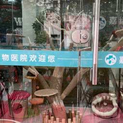 嘉诺宠物医院:黔南布依族苗族自治州瓮安县