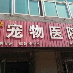欢欢宠物医院:沈阳市铁西区重工街沿线附近