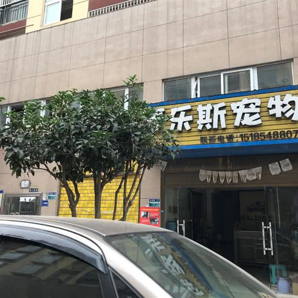 麦乐斯宠物:黔南布依族苗族自治州罗甸县