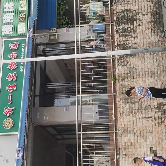 新一佳宠物乐园:黔南布依族苗族自治州龙里县