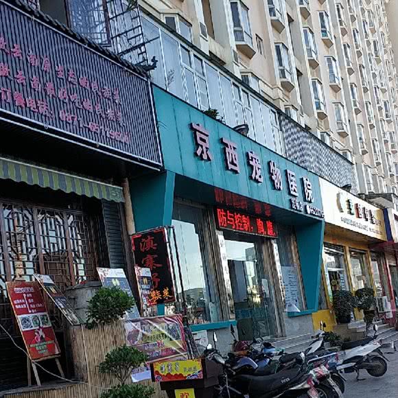 京西宠物医院(昆明店):昆明市盘龙区