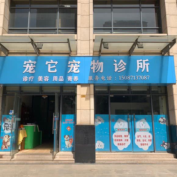 宠它宠物诊所:昆明市官渡区