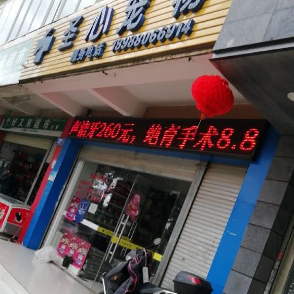 圣心宠物医院:昆明市官渡区