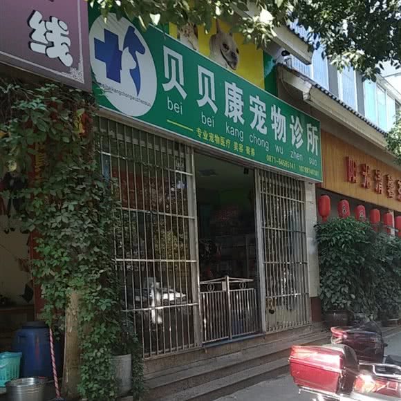贝贝康宠物诊所:昆明市西山区