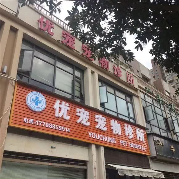 优宠宠物诊所:昆明市呈贡区
