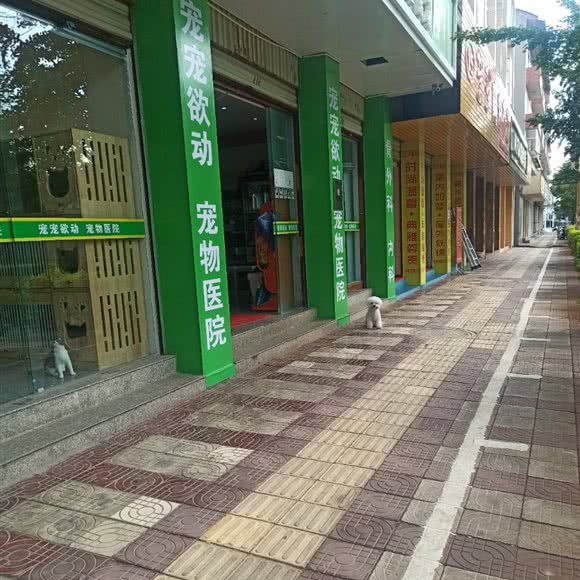 宠宠欲动宠物医院:昆明市晋宁区