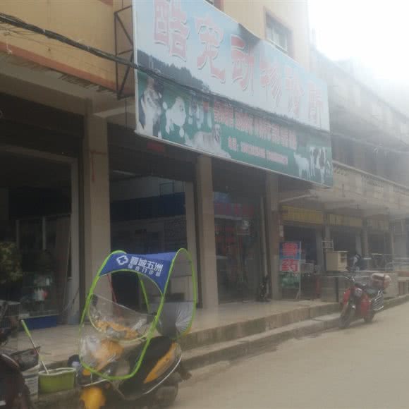 酷宠动物诊所:昆明市晋宁区