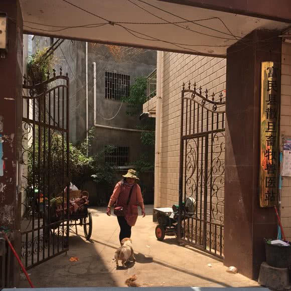 富民县散旦畜牧兽医站:昆明市富民县