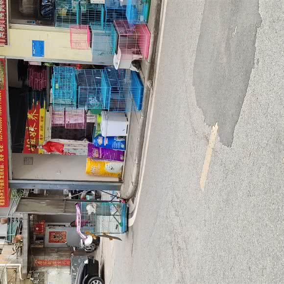 宝贝宠物店:昆明市宜良县