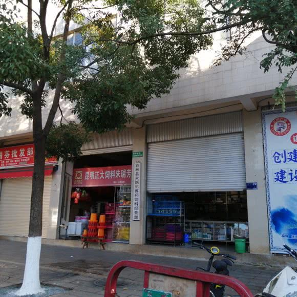 朱医生兽医宠物诊所:昆明市石林彝族自治县