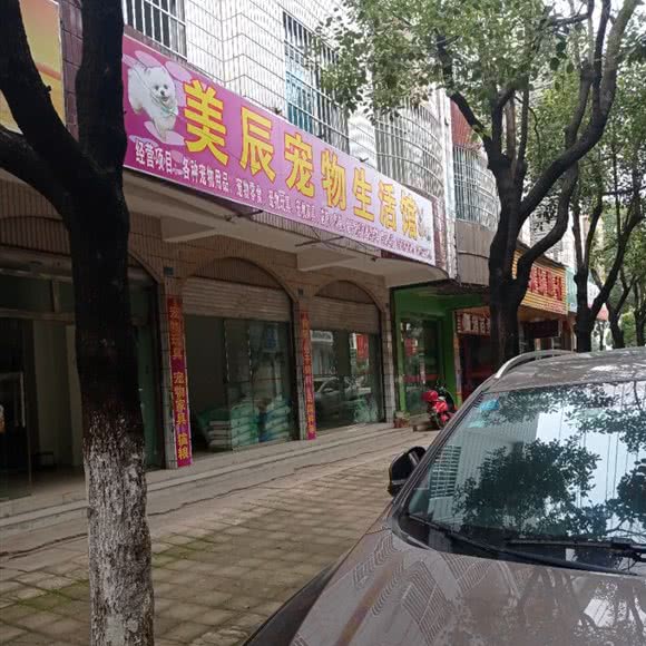 美辰宠物生活馆:昆明市嵩明县
