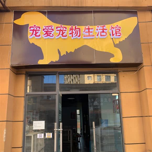 宠爱宠物生活馆:昆明市嵩明县