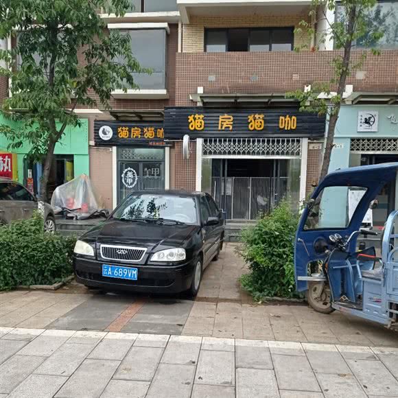 猫房猫咖:昆明市嵩明县