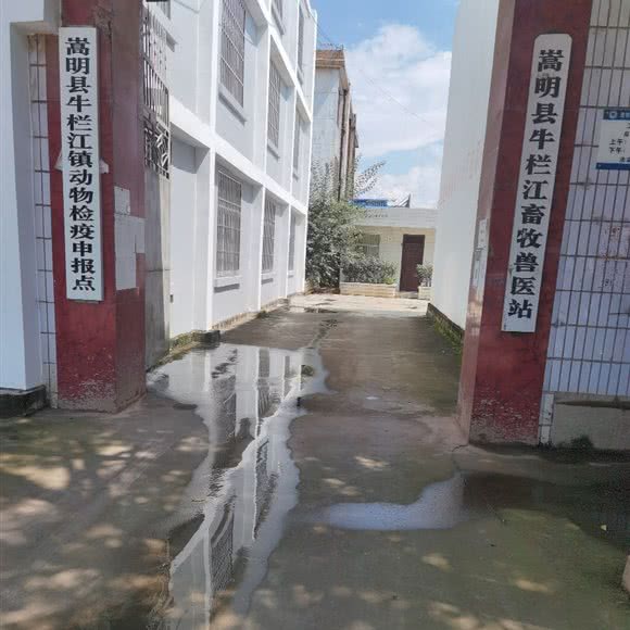 嵩明县牛栏江畜牧兽医站:昆明市嵩明县