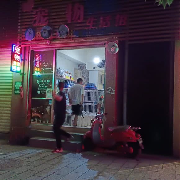 宠物生活馆:昆明市禄劝彝族苗族自治县