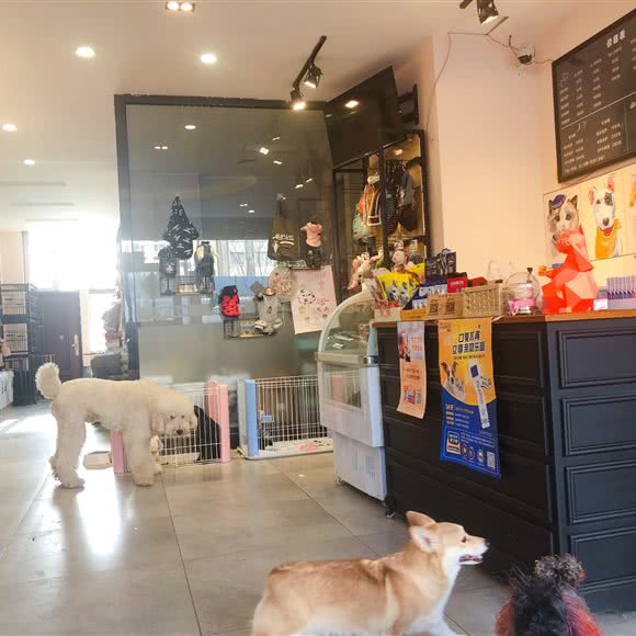 拾月宠物 Oct.pet:沈阳市铁西区兴工街/沈阳站西广场附近