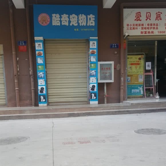 酷奇宠物店:昆明市安宁市