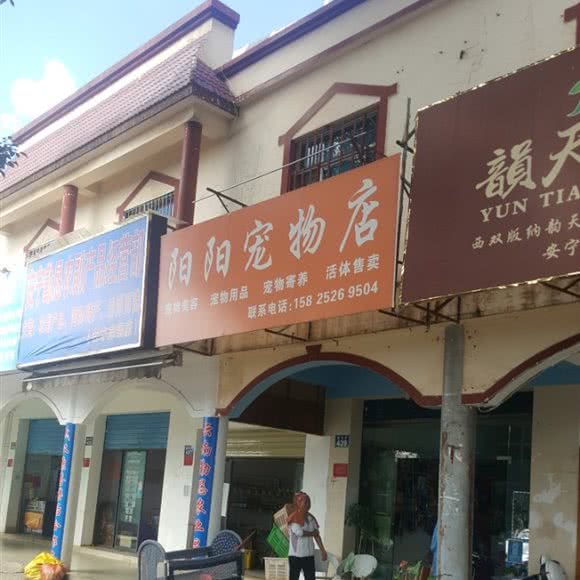 阳阳宠物店:昆明市安宁市