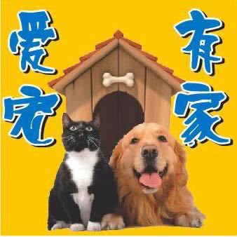 爱宠有家宠物狗会馆:沈阳市铁西区兴工街/沈阳站西广场附近