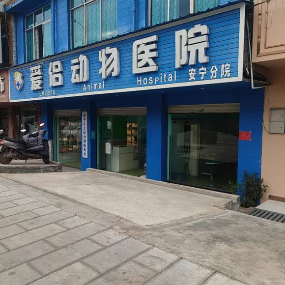 爱侣动物医院(安宁分院):昆明市安宁市