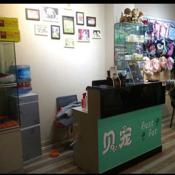 贝宠Best pet宠物店:曲靖市麒麟区