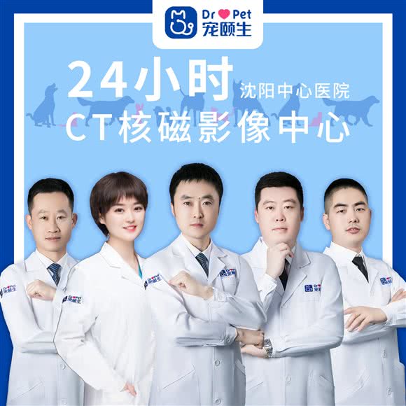 宠颐生动物医院·24小时转诊中心(CT&核磁中心):沈阳市铁西区兴工街/沈阳站西广场附近