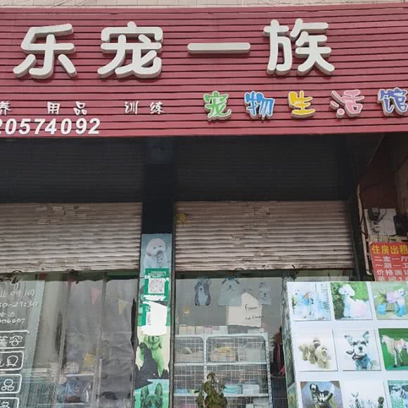 乐宠一族:曲靖市富源县