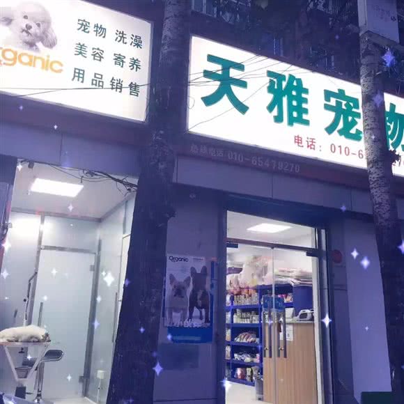 天雅宠物:北京城区朝阳区定福庄附近