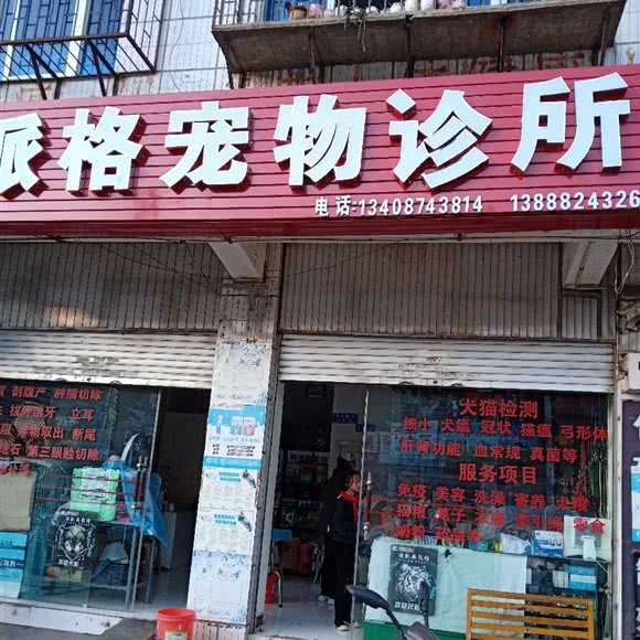派格宠物诊所:曲靖市会泽县