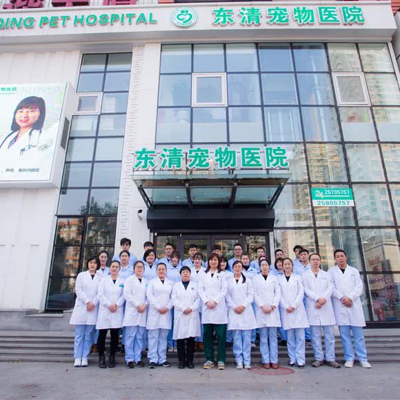 东清宠物医院(东清宠物医院建大店):沈阳市铁西区兴工街/沈阳站西广场附近