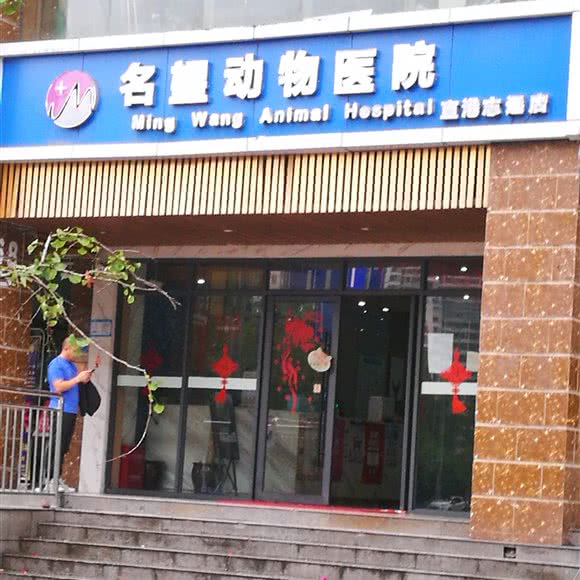 名望动物医院:玉溪市红塔区